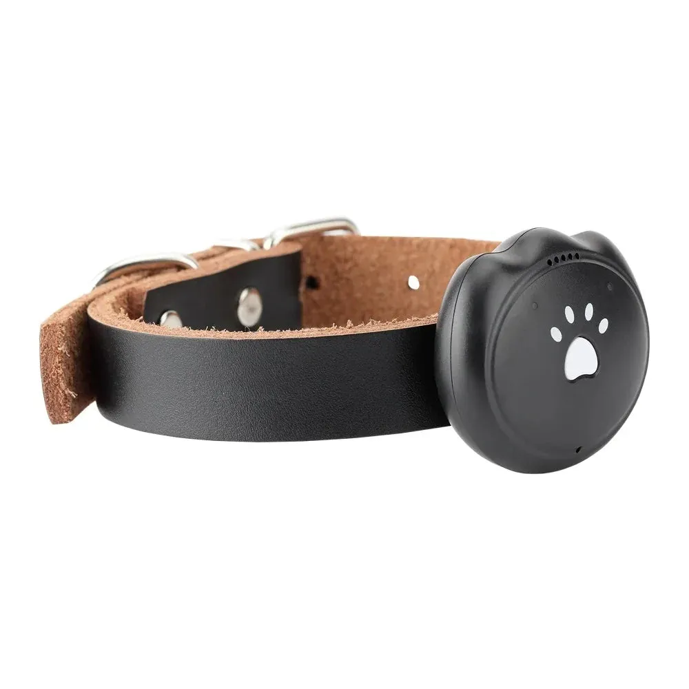 Waterproof Mini GPS Collar